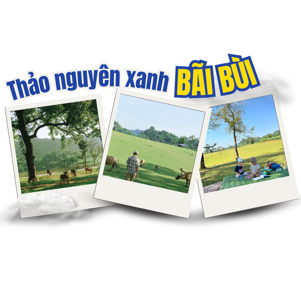 Thảo nguyên xanh Bãi Bùi
